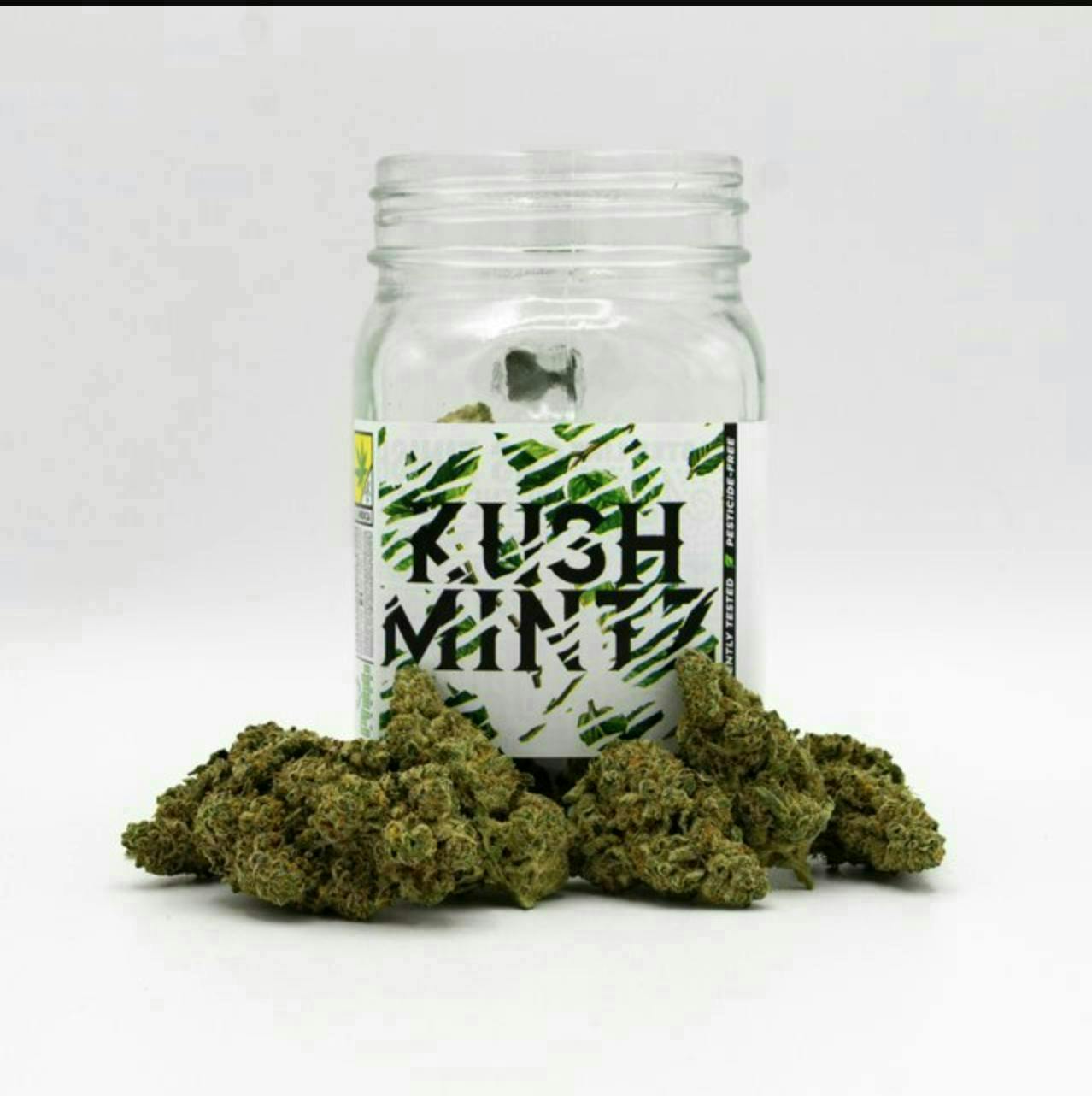 Platinum | Kush Mintz | Big Buds | 3.5g by Phat Panda