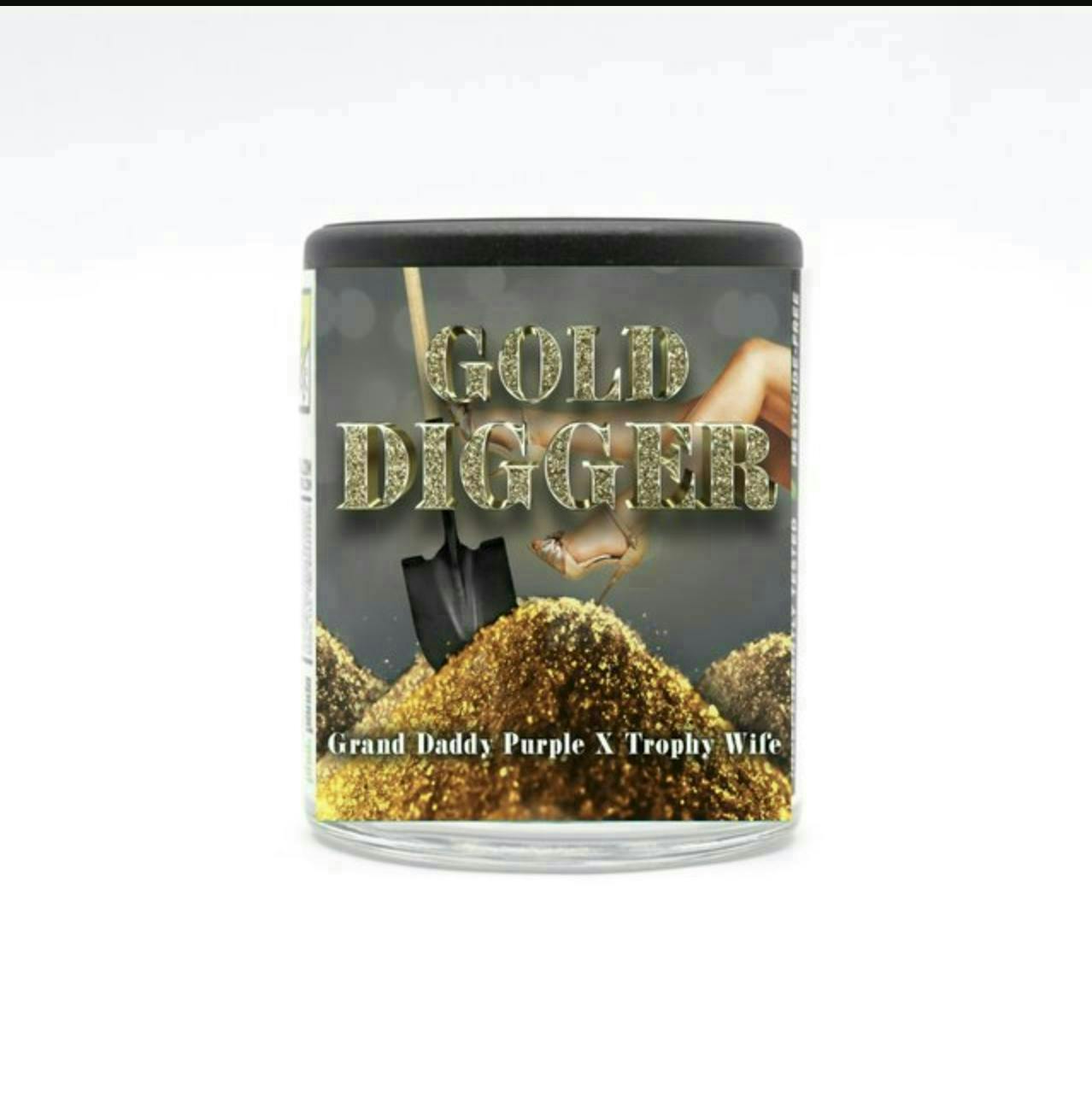 Gold Digger | Big Buds | 3.5g