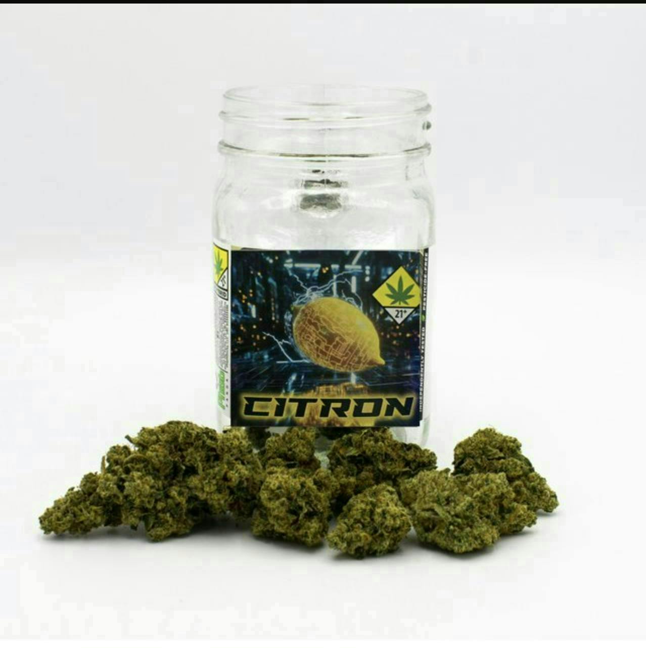 Citron | Big Buds | 3.5g