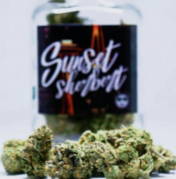 Sunset Sherbert | Big Buds | 3.5g by Phat Panda