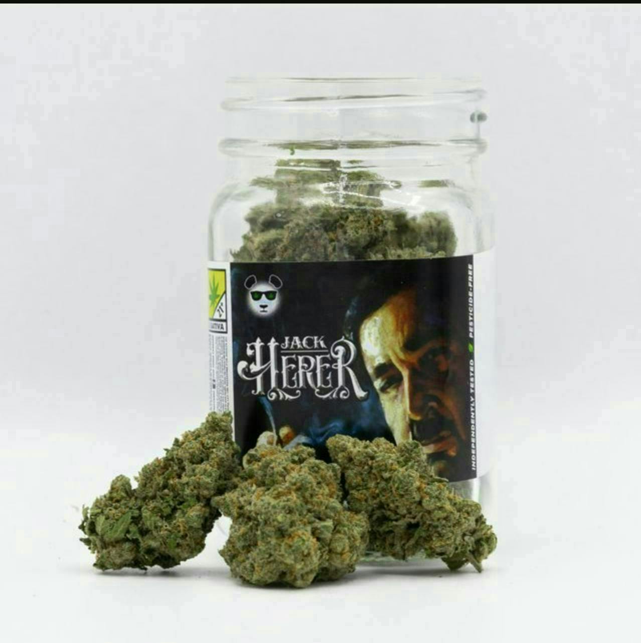 Jack Herer | Big Buds | 3.5g by Phat Panda