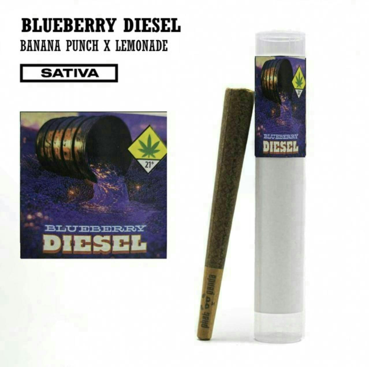 Blueberry Diesel | Joint | 1g