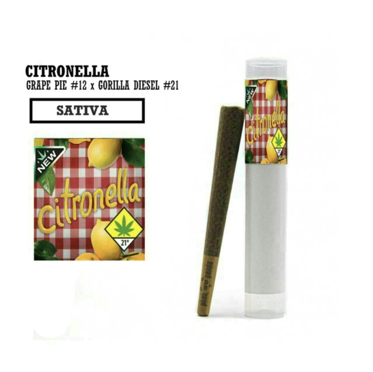 Citronella | Joint | 1g
