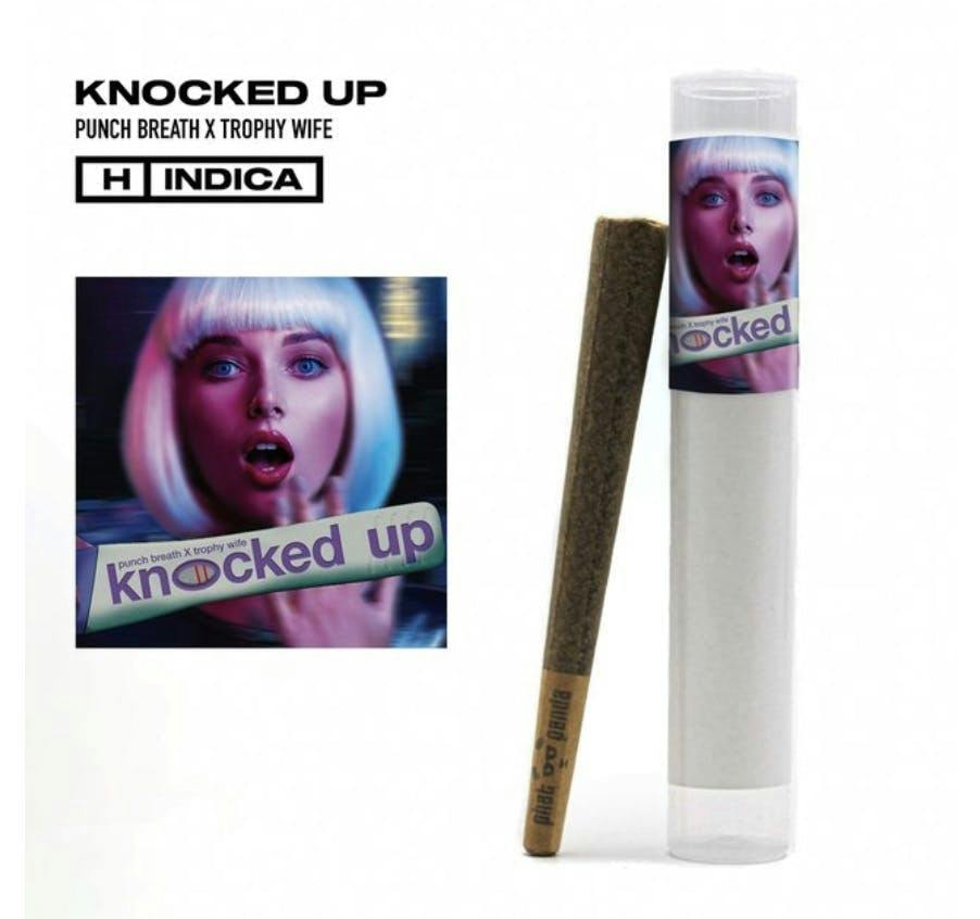 Knocked Up | Joint | 1g at High 5 Cannabis (420 Evergreen)