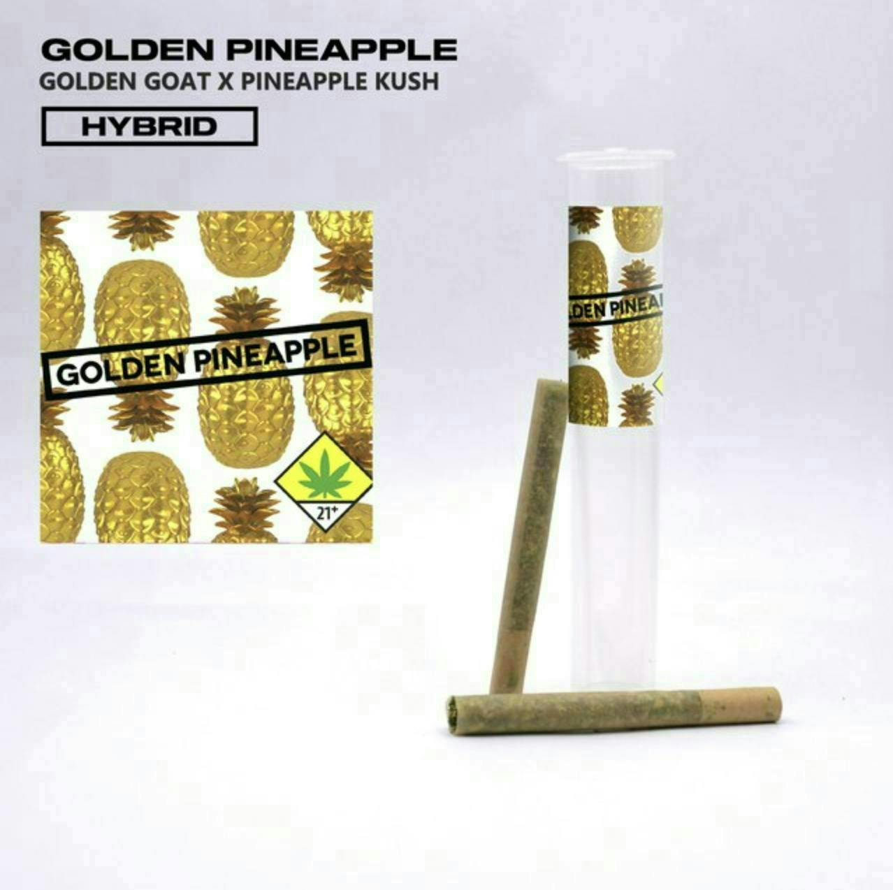 Bangers | Golden Pineapple | Minis | 0.5g each | 2pk at Herbal E Scents
