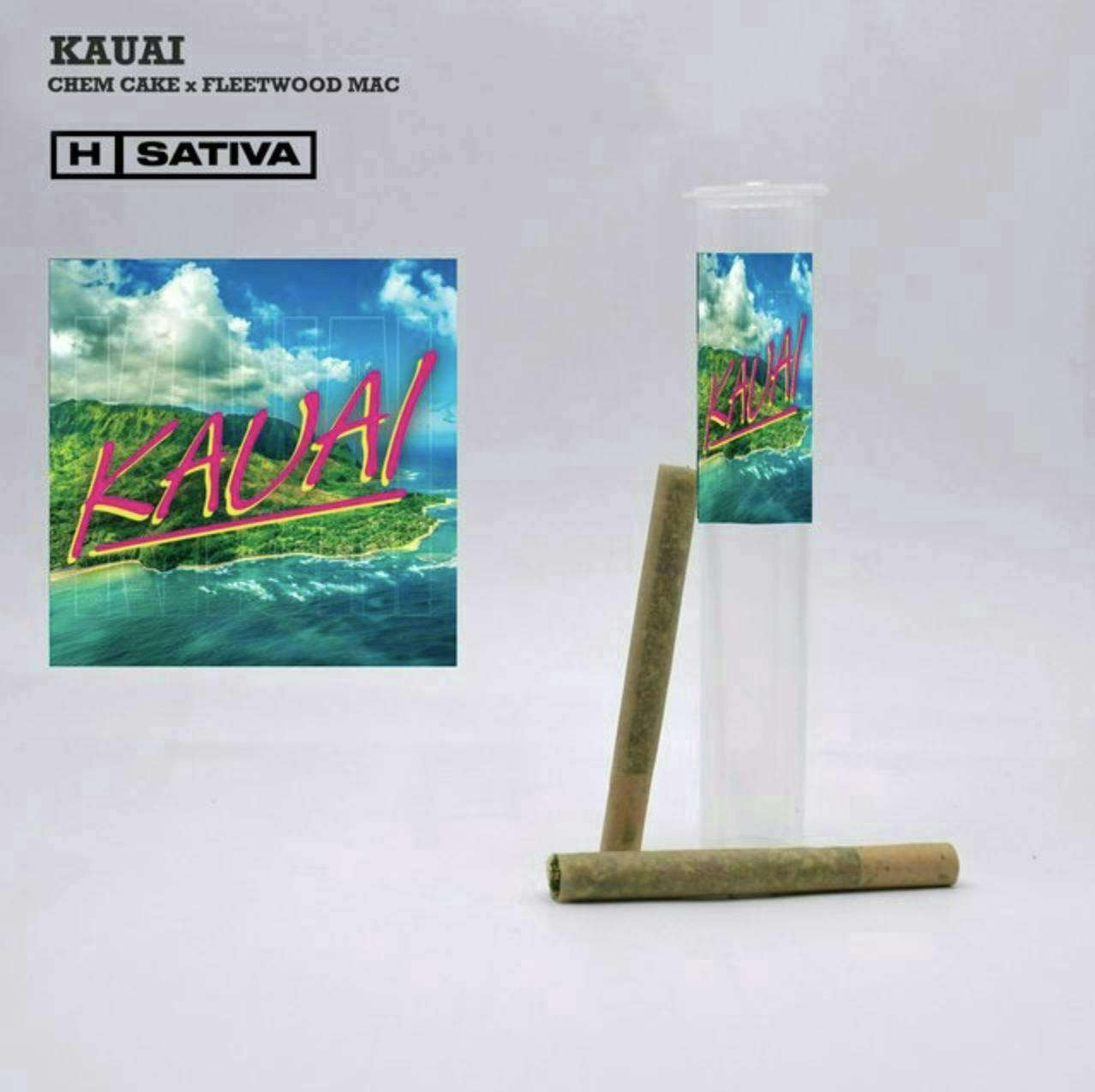 Bangers | Kauai | Minis | 0.5g each | 2pk by Phat Panda