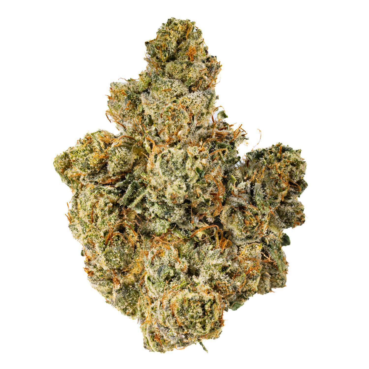 West Coast Cure — Og 1