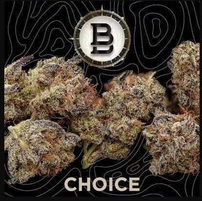 BB | Choice | Gummiez