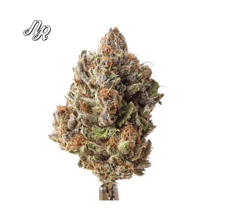 Natty Rems | Honey Banana | Flower |