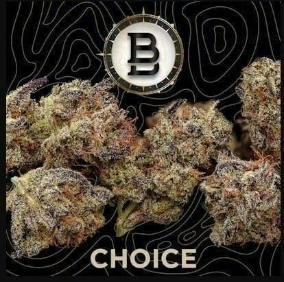 Bb Choice Sublime