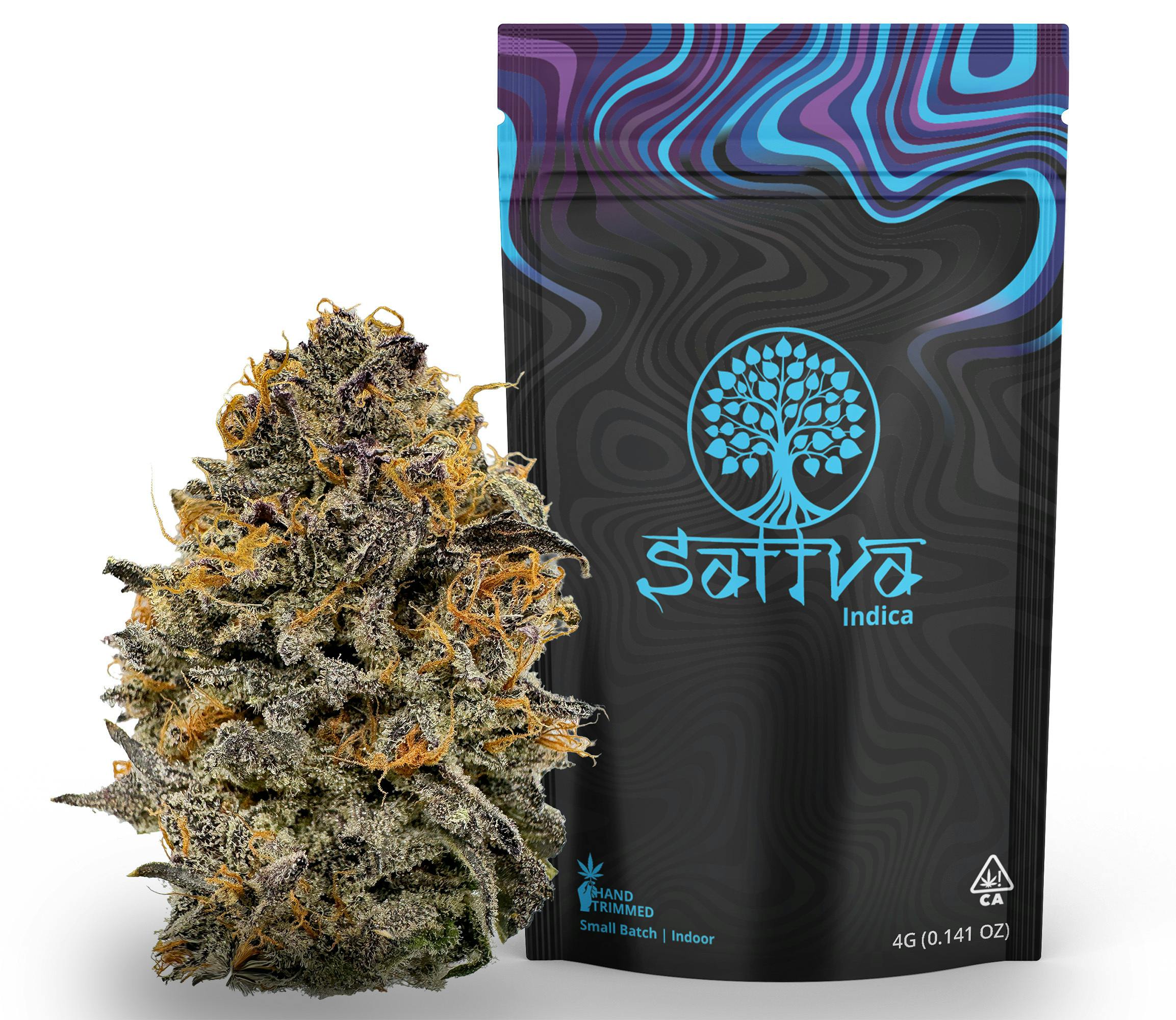 Gelonade Rainbow Belts Premium Indoor