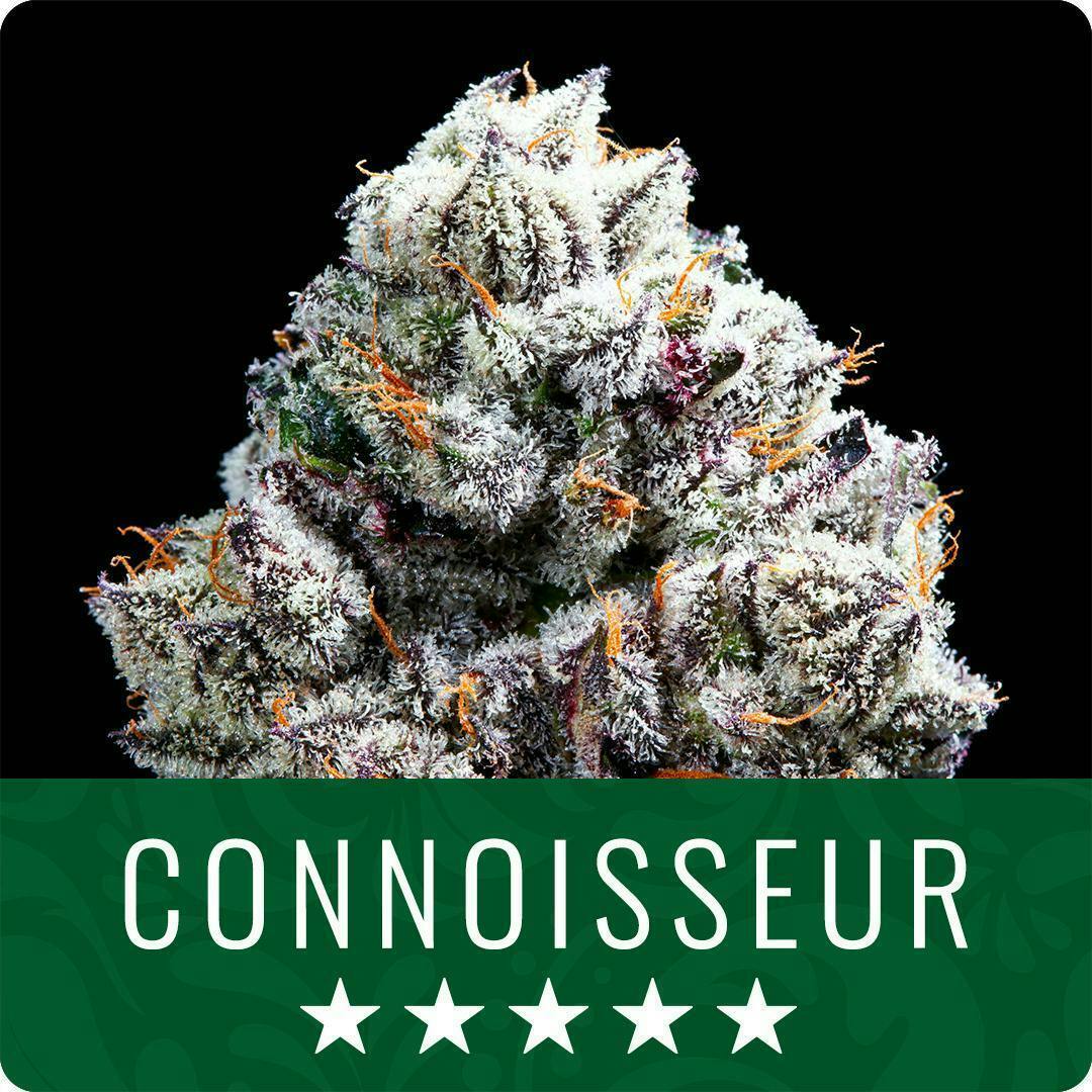 Head Hunter - 1g Flower
