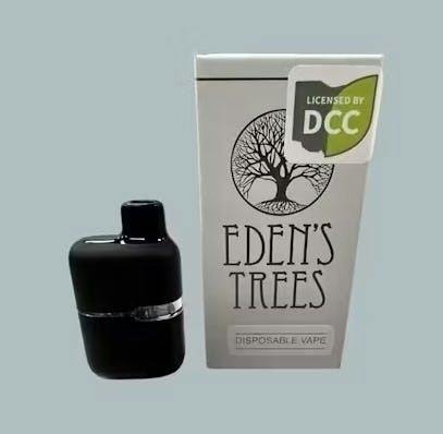 Eden's Trees | Northern Lights | Disposable | 1G by Eden's Trees