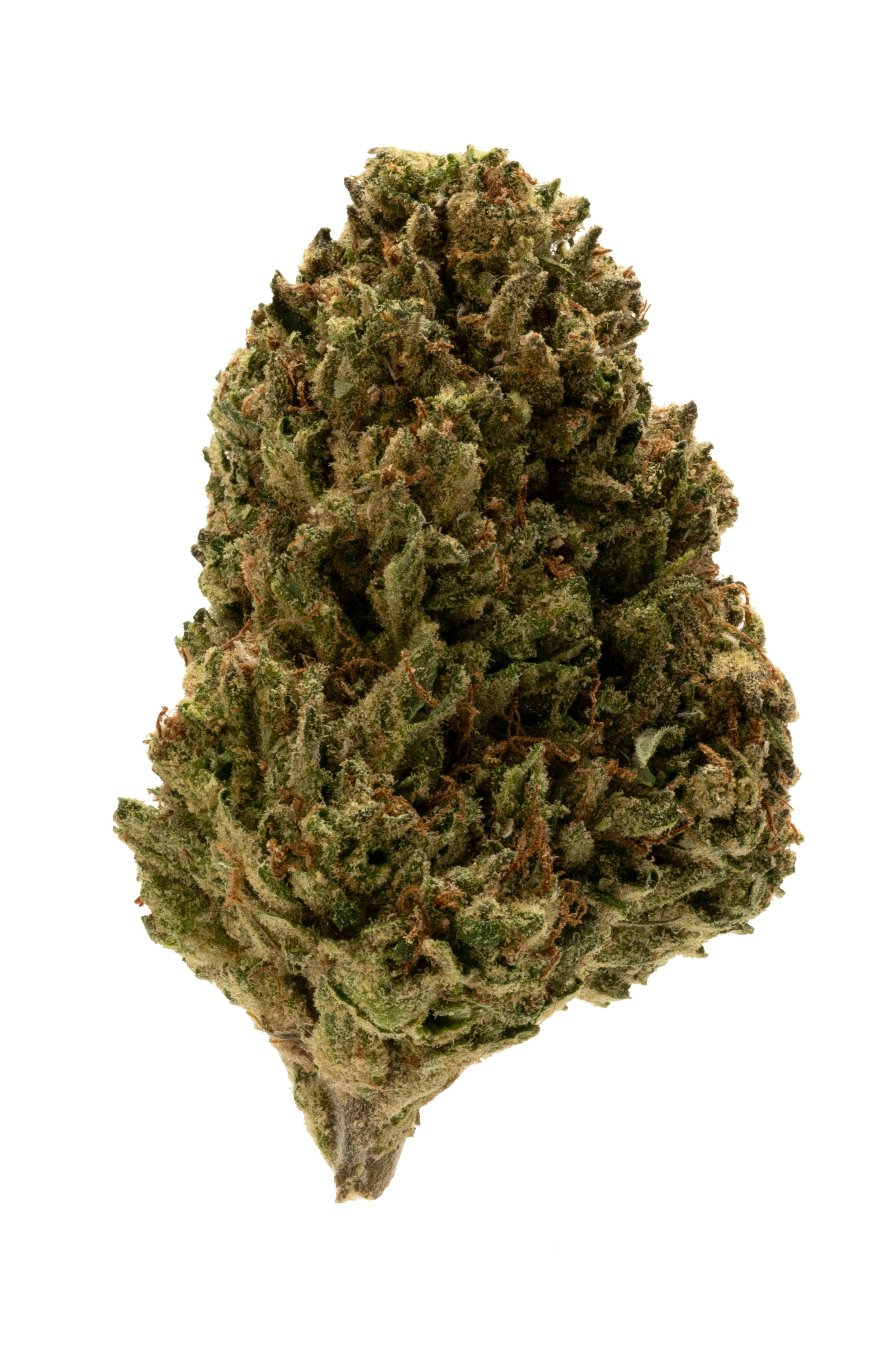 Mango Runtz | Value Line Flower | 1oz