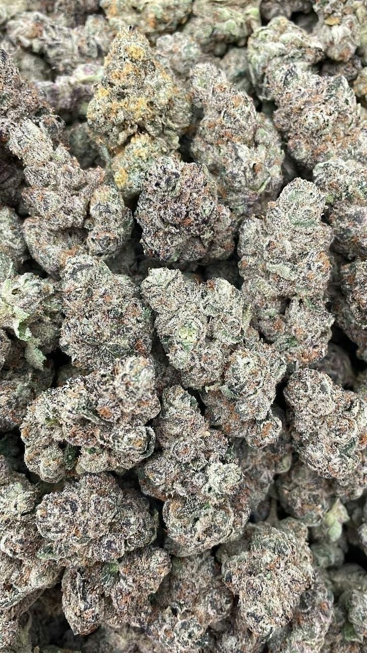Gelato 33 Flower - 14g