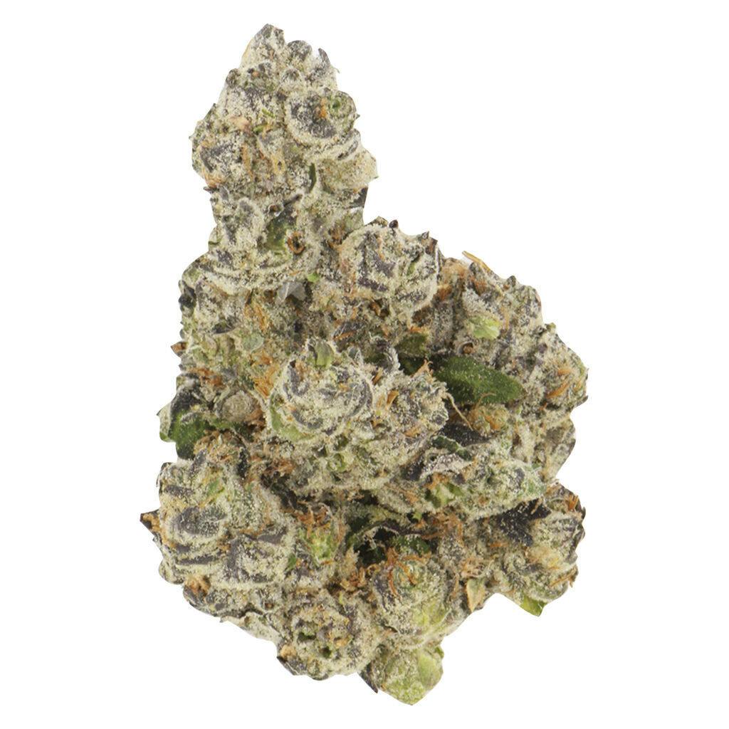 Honeycomb Haze Sativa - Buzz'd
