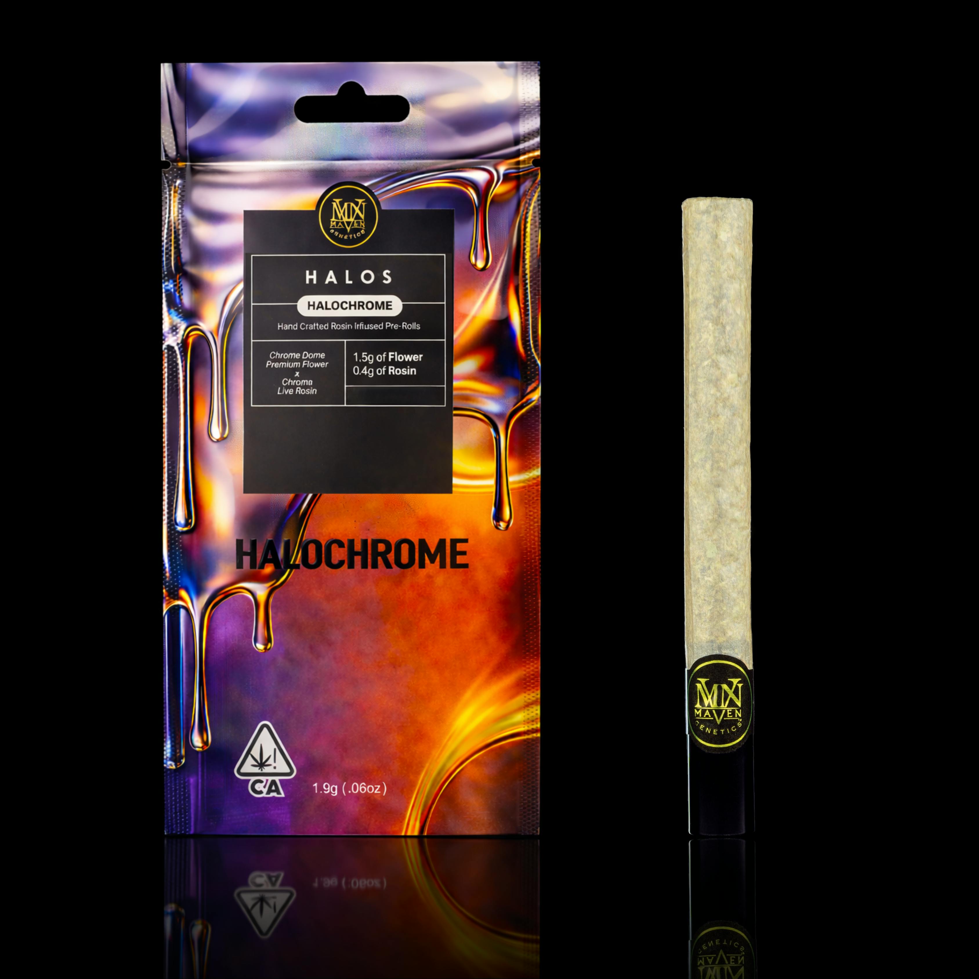Maven Genetics — Halochrome – Maven Halos