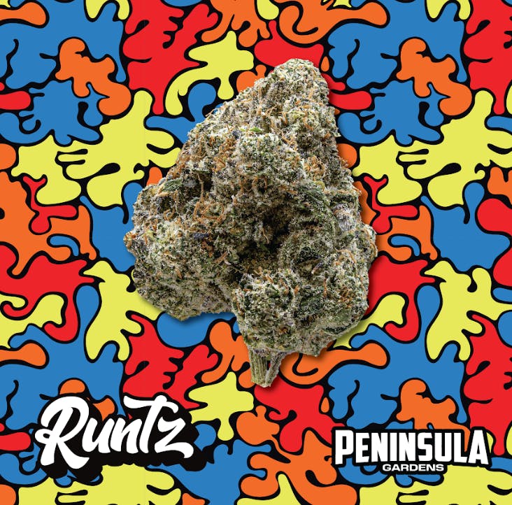 Peninsula Gardens | Runtz | Bulk Flower