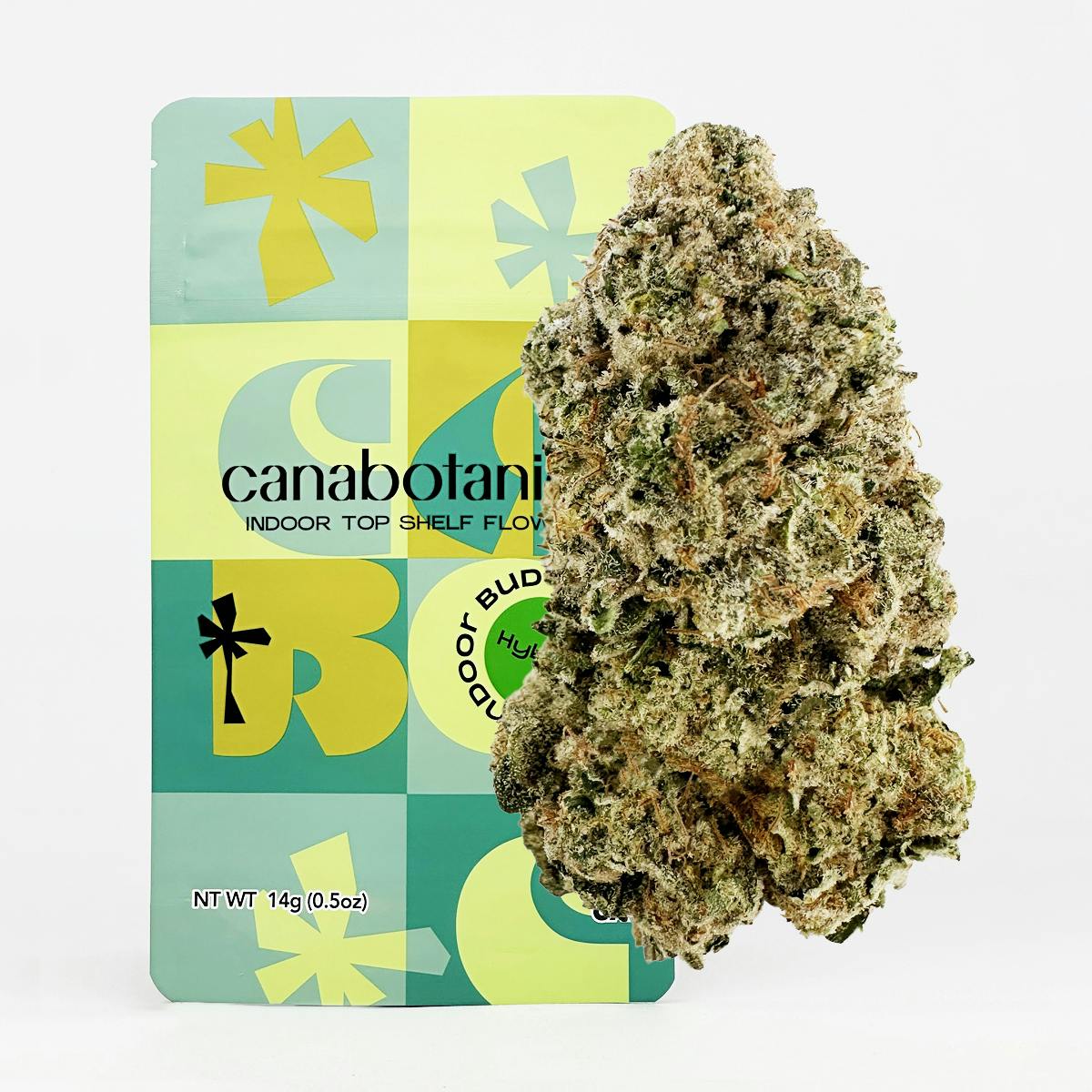 Blueberry Muffin Indoor Flower