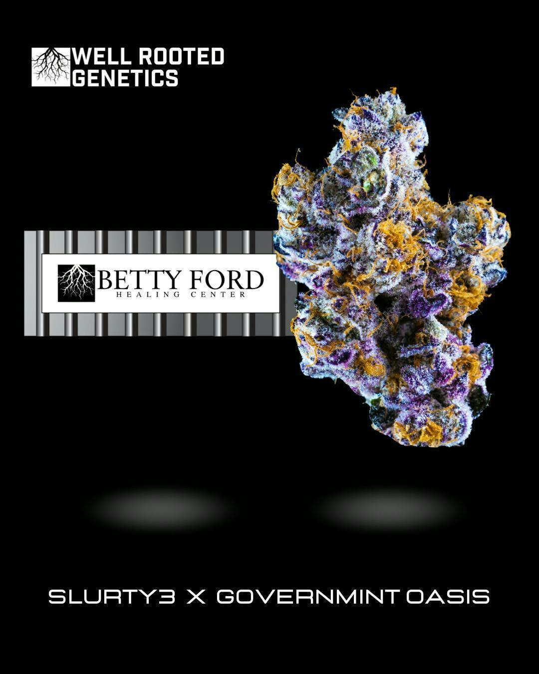 Well Rooted Genetics | Bettyford | Big Buds | 3.5g by Well Rooted Genetics