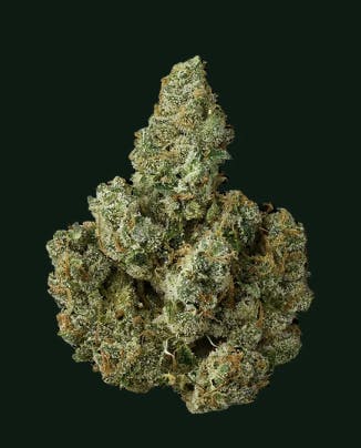 Green Dawg — D1
