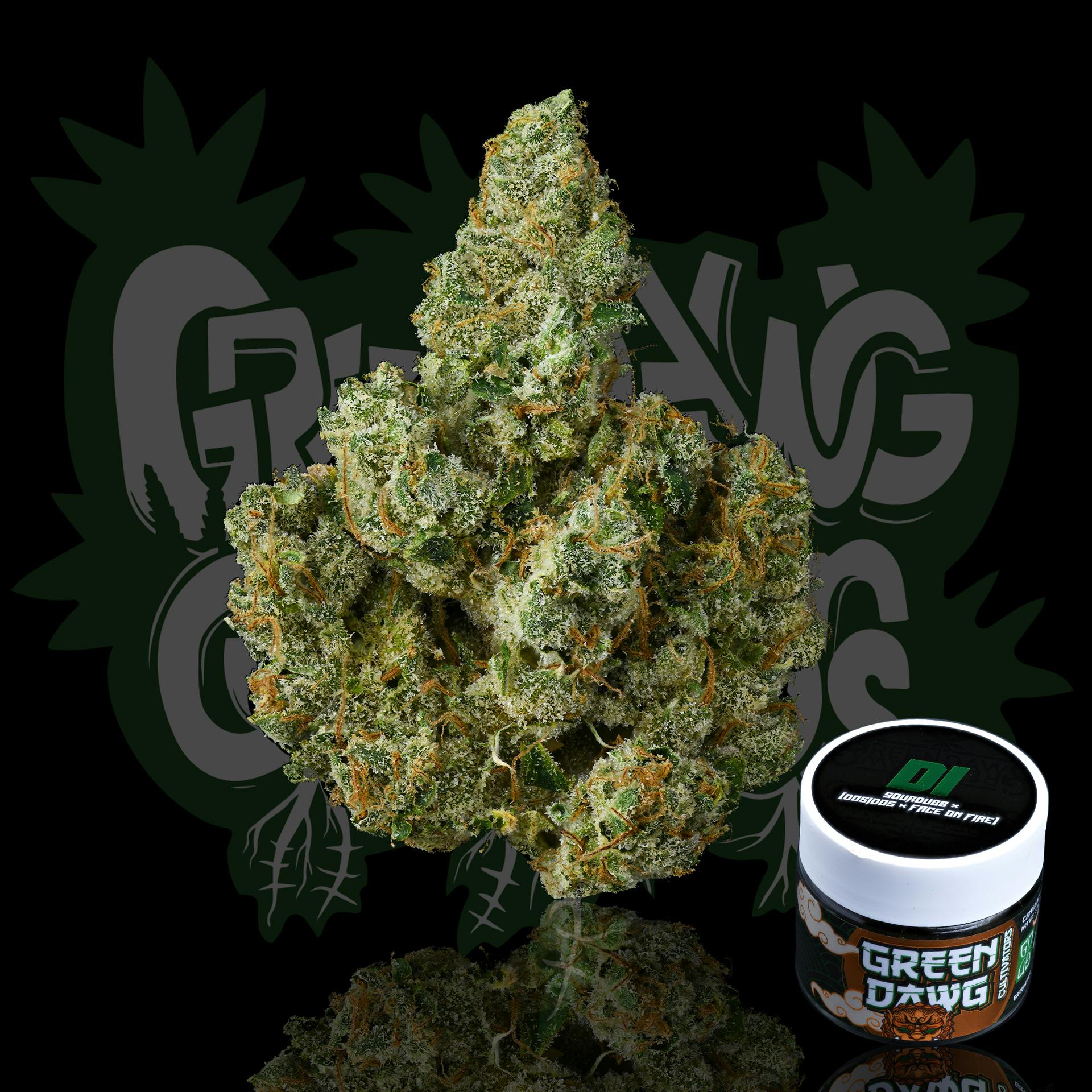 Green Dawg: D1