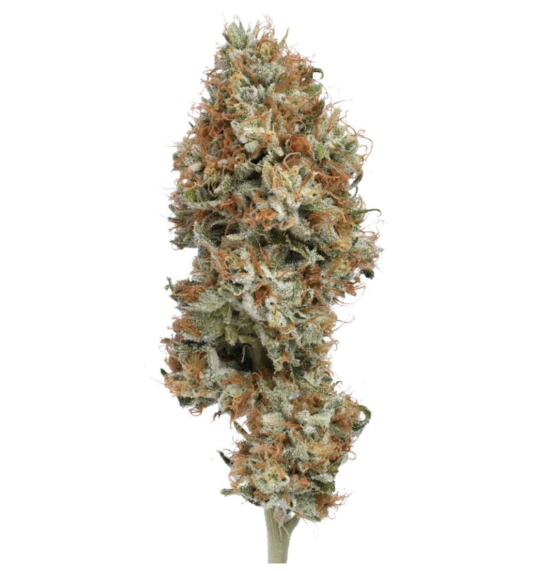 Green Dawg — Dawgwalker