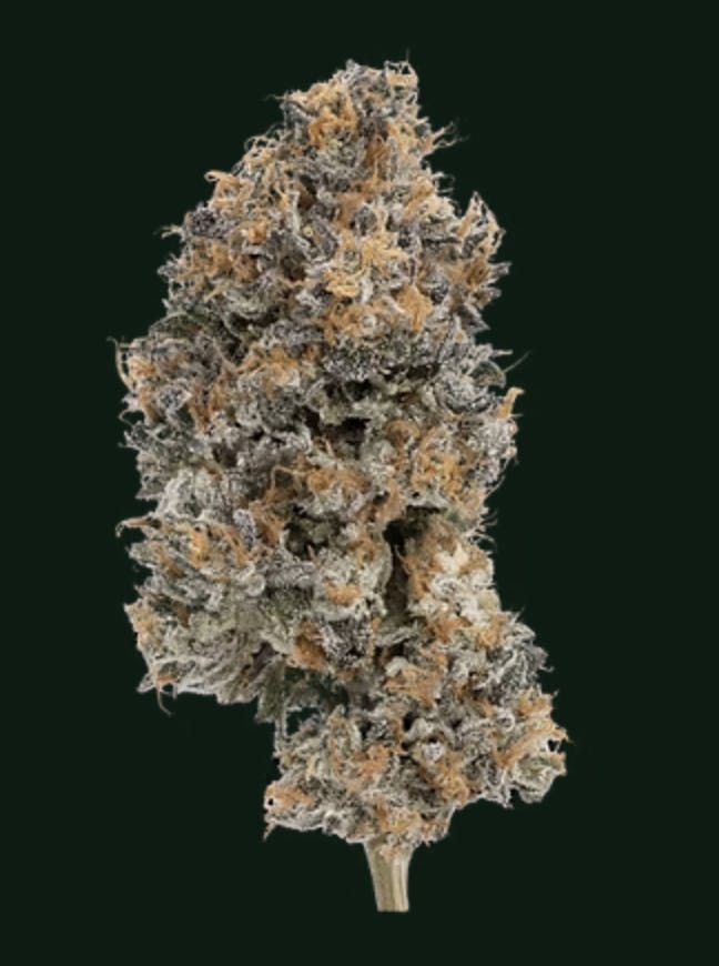 Dandy Fumes Big Buds