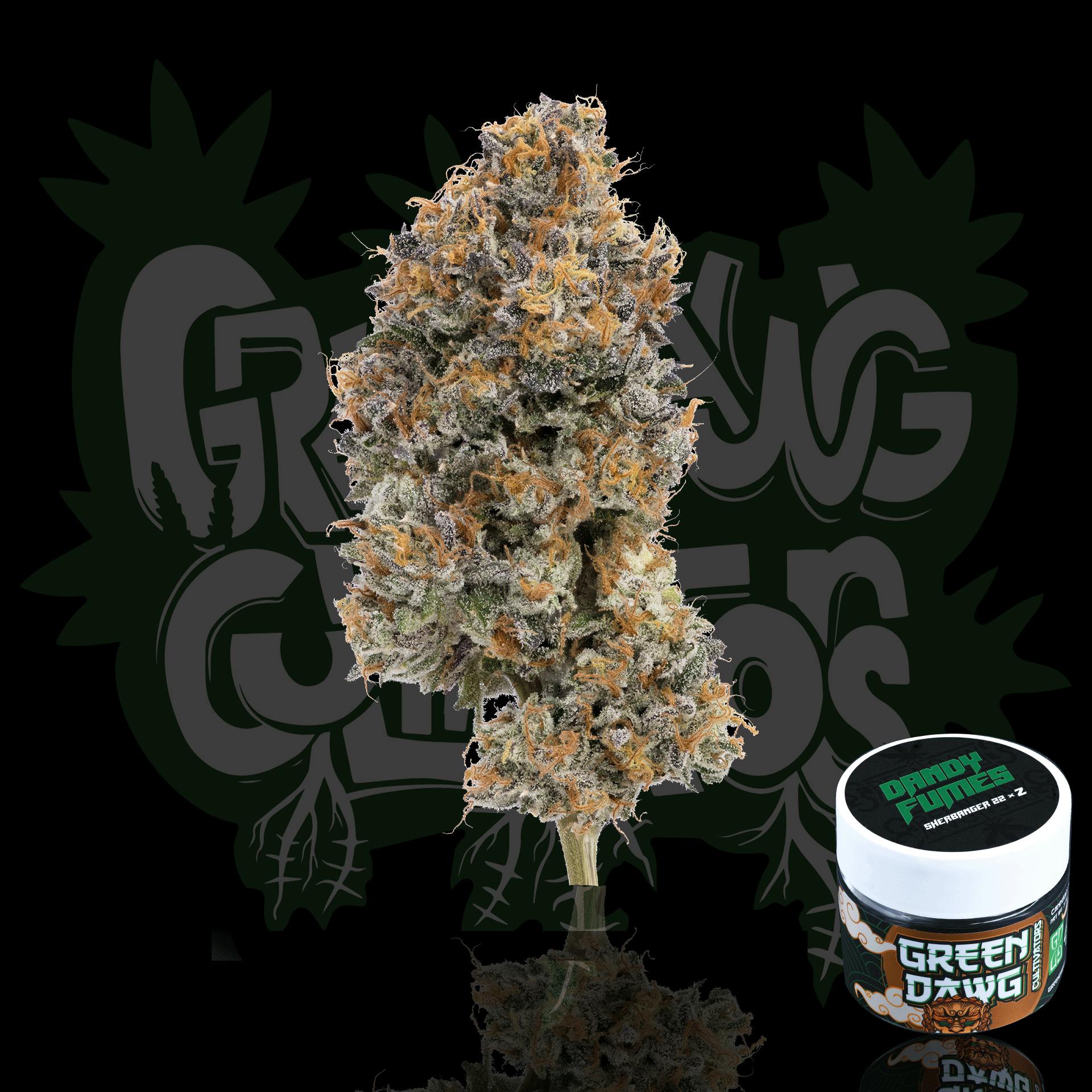 Green Dawg: Dandy Fumes