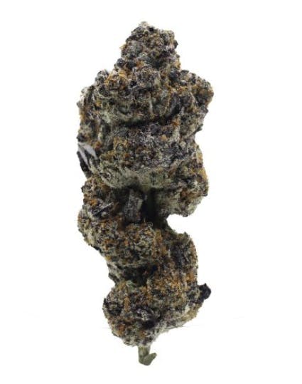 Green Dawg: Black Biscotti