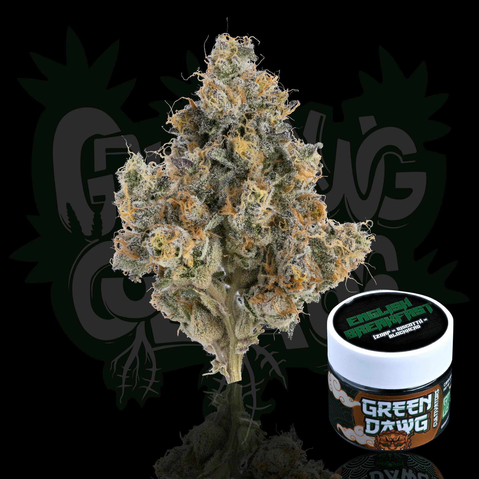 Green Dawg: English Breakfast