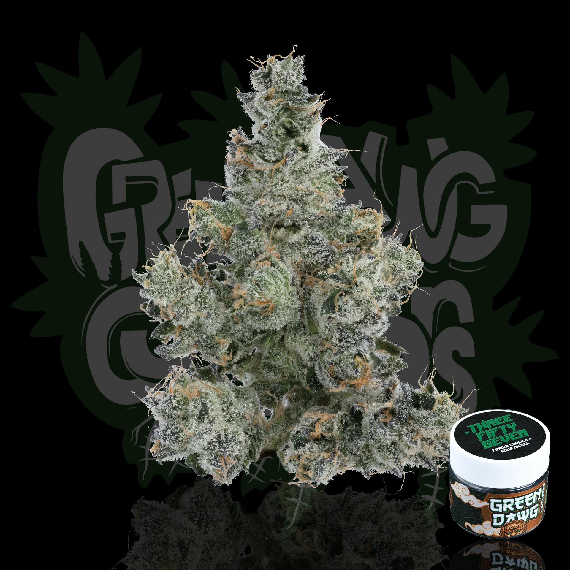 Green Dawg: Big Buds - 3.5g