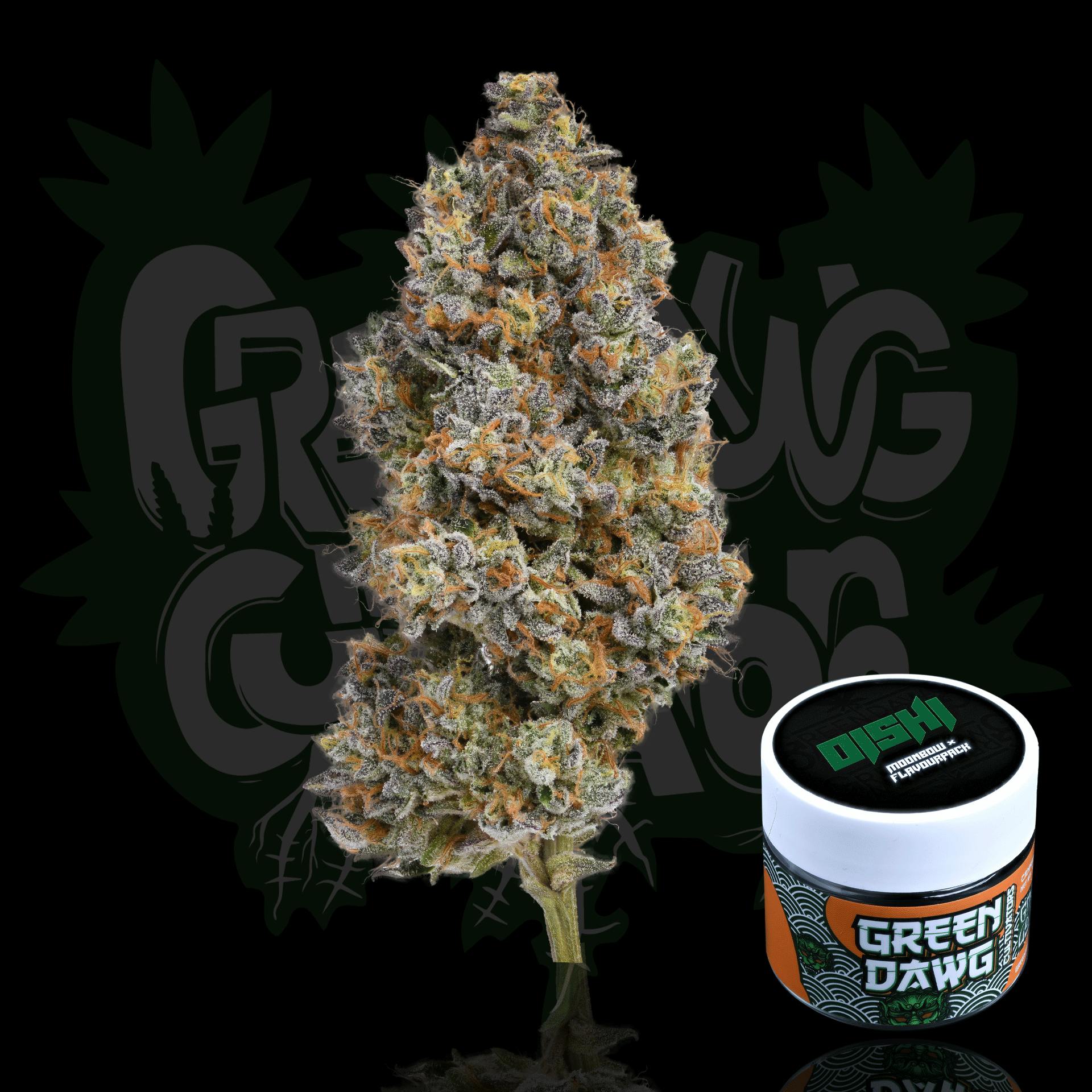 Green Dawg: Oishi - Big Buds - 3.5g
