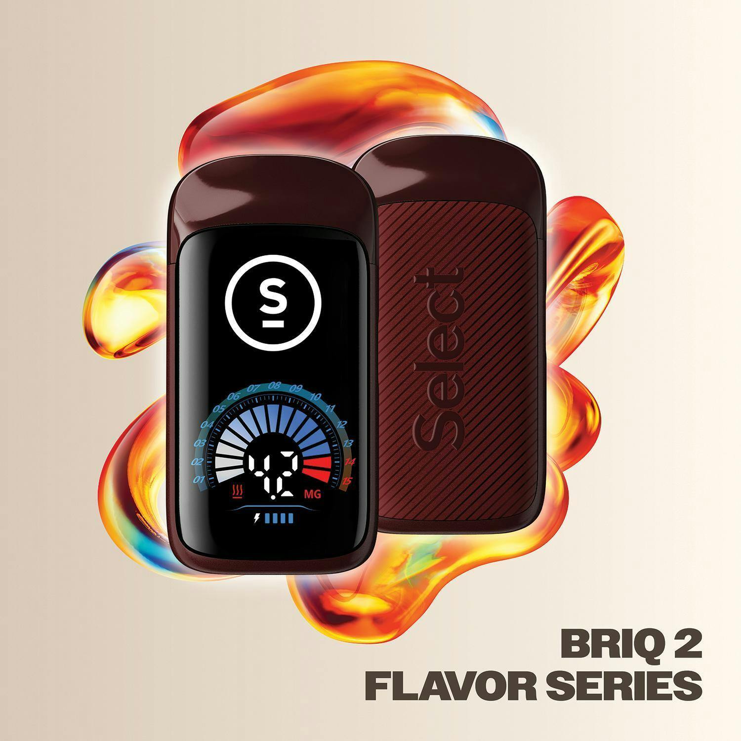 BRIQ 2 Flavor Series Baja Smash 2g