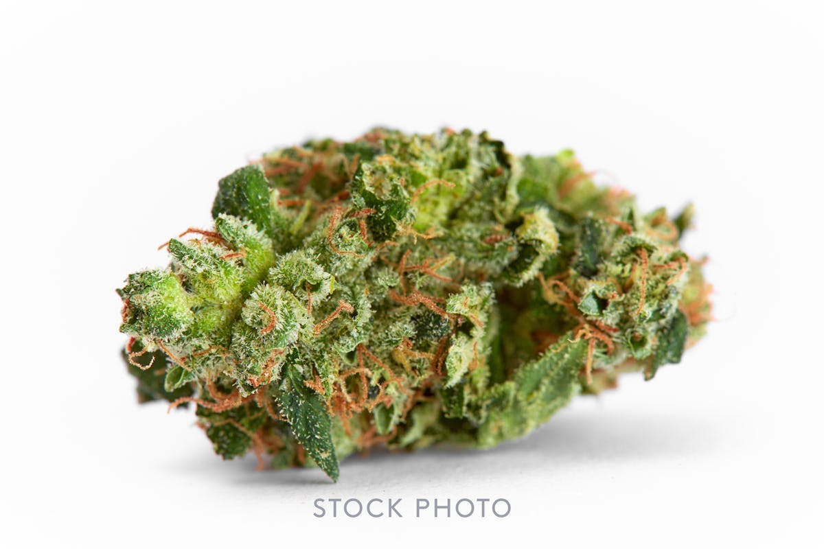 West Coast Treez — Sour Apple