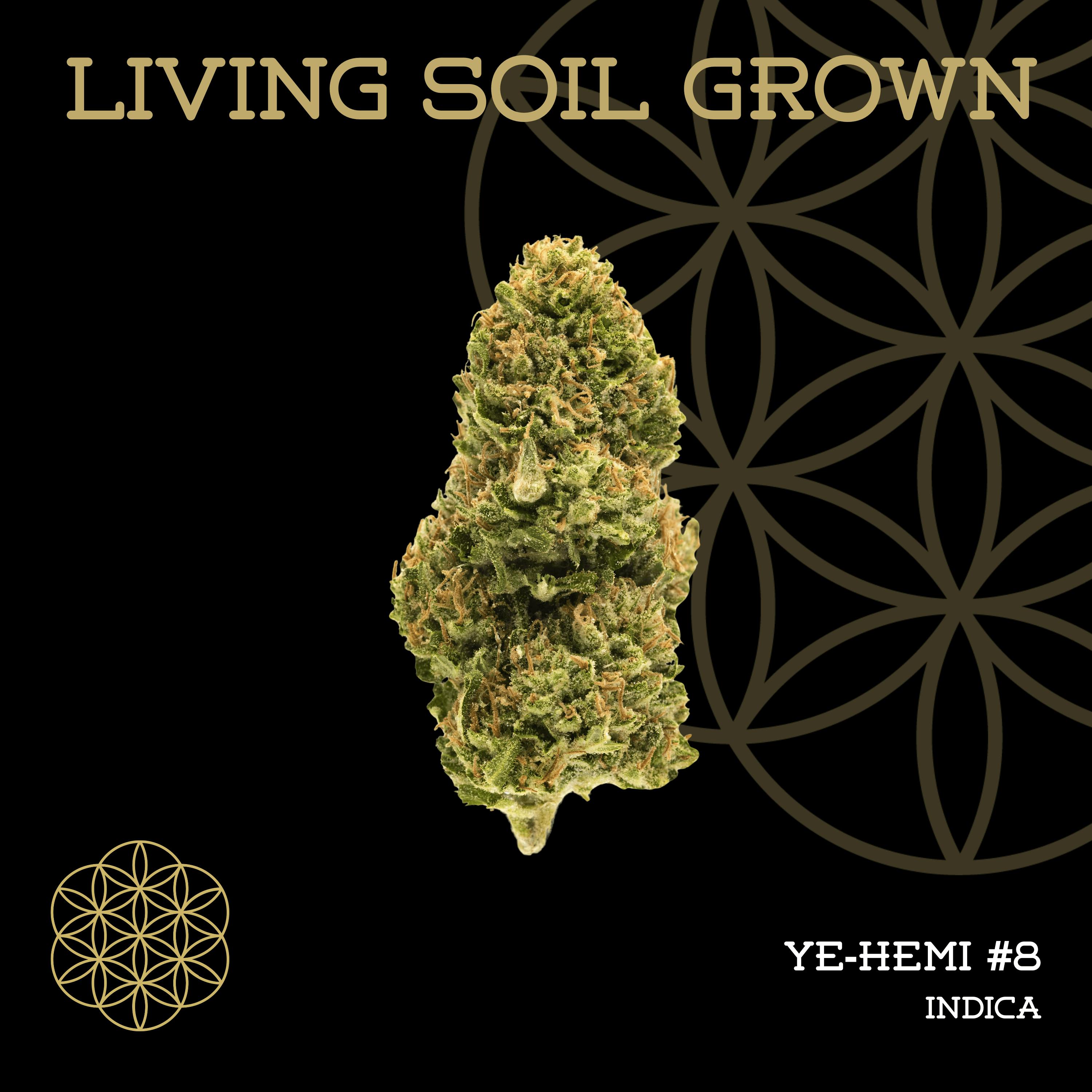 Y8 | Bulk Deli | Living Soil by Flower of Life