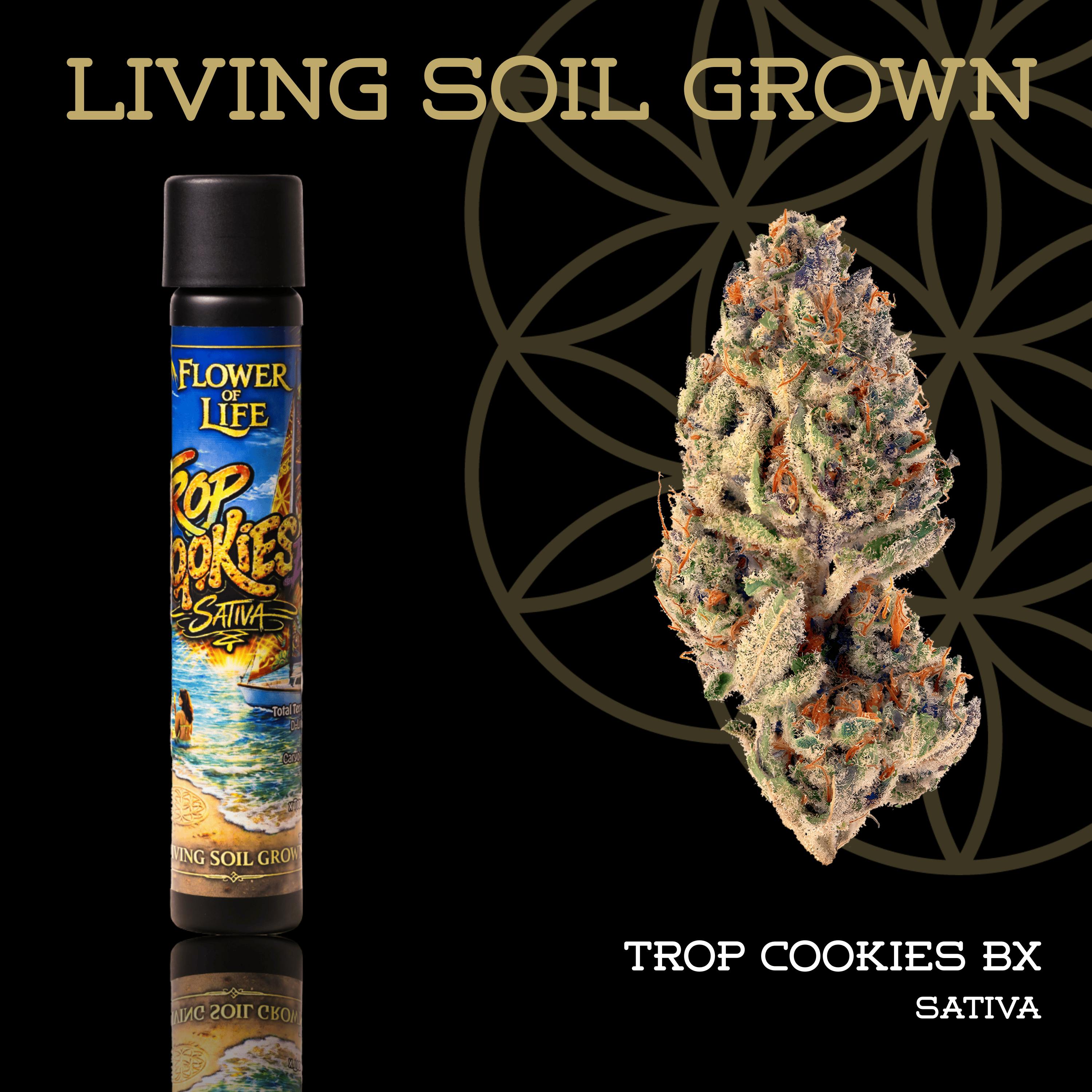 Tropicana Cookies BX | Joint | 1g