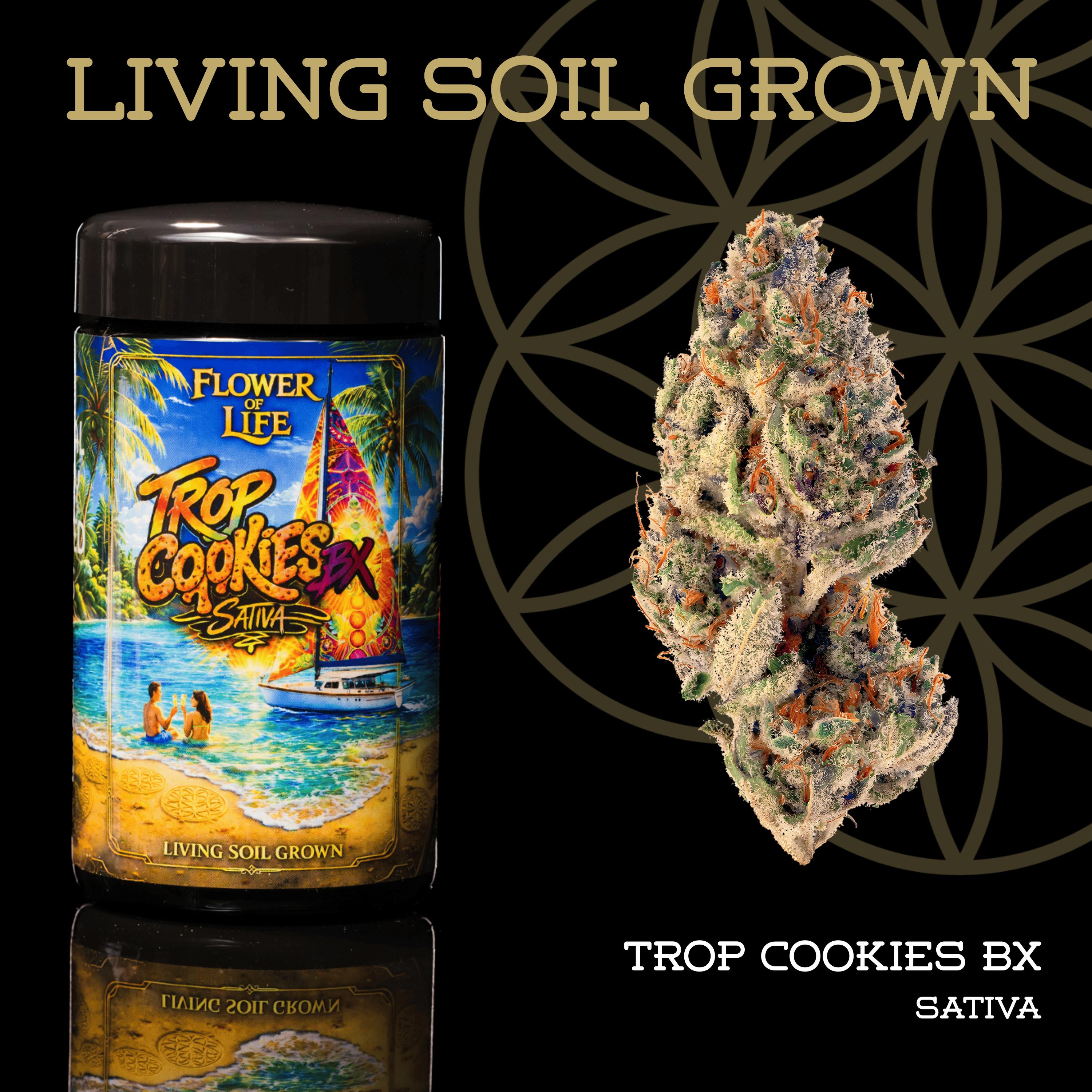 Tropicana Cookies BX | Buds | 3.5g