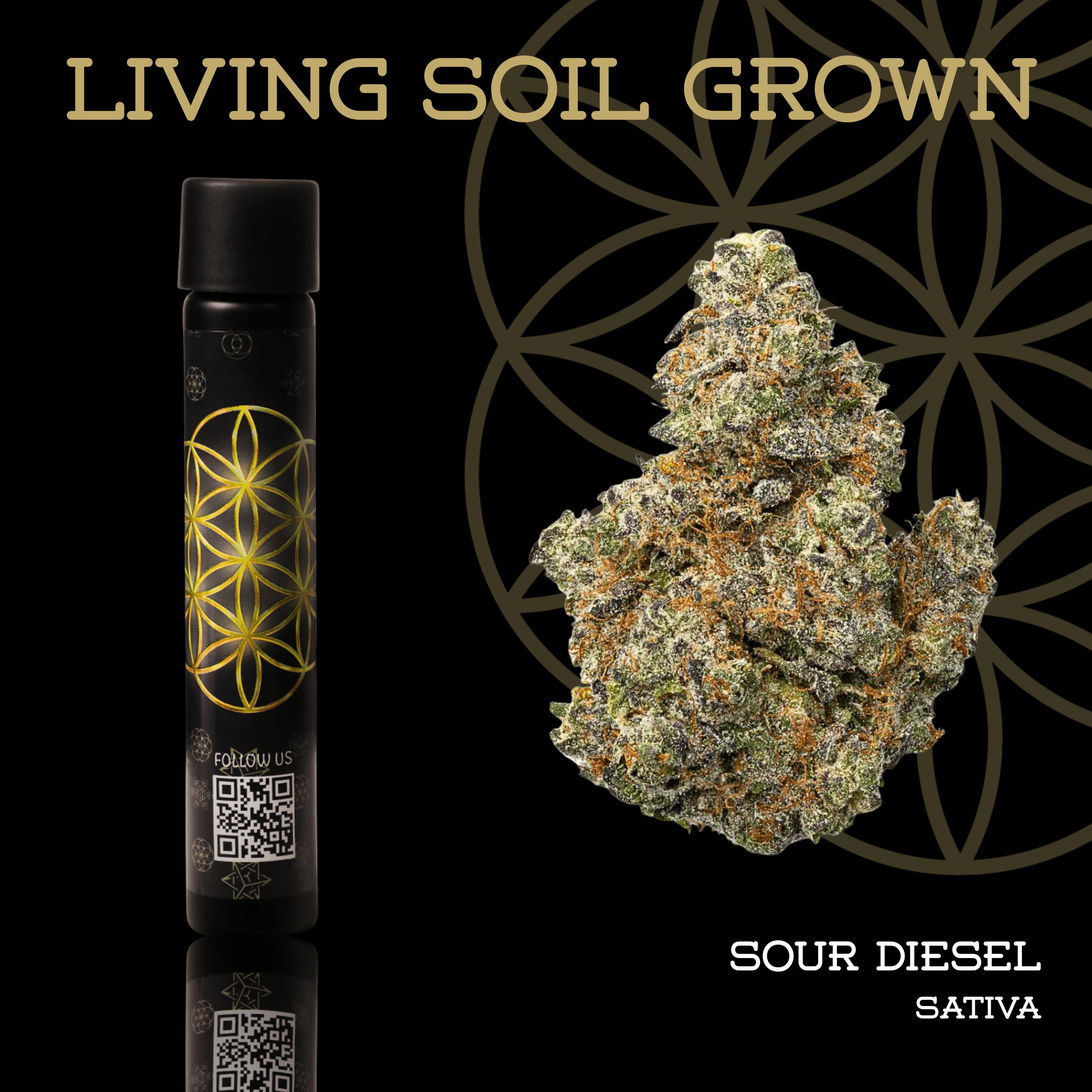 Sour Diesel | Pre-Roll | 1g | Living Soil by Flower of Life
