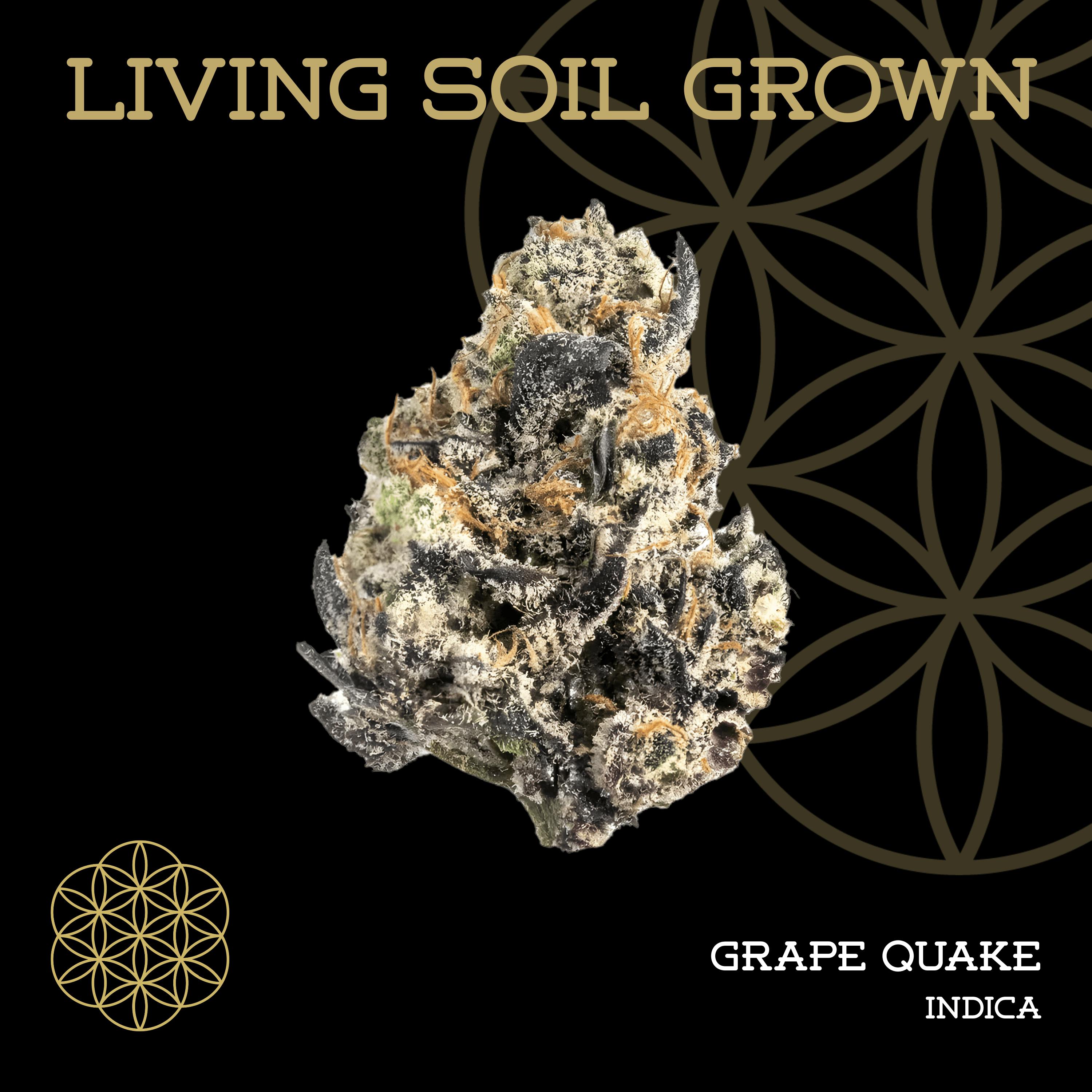 Grape Quake | Bulk Deli | Living Soil by Flower of Life