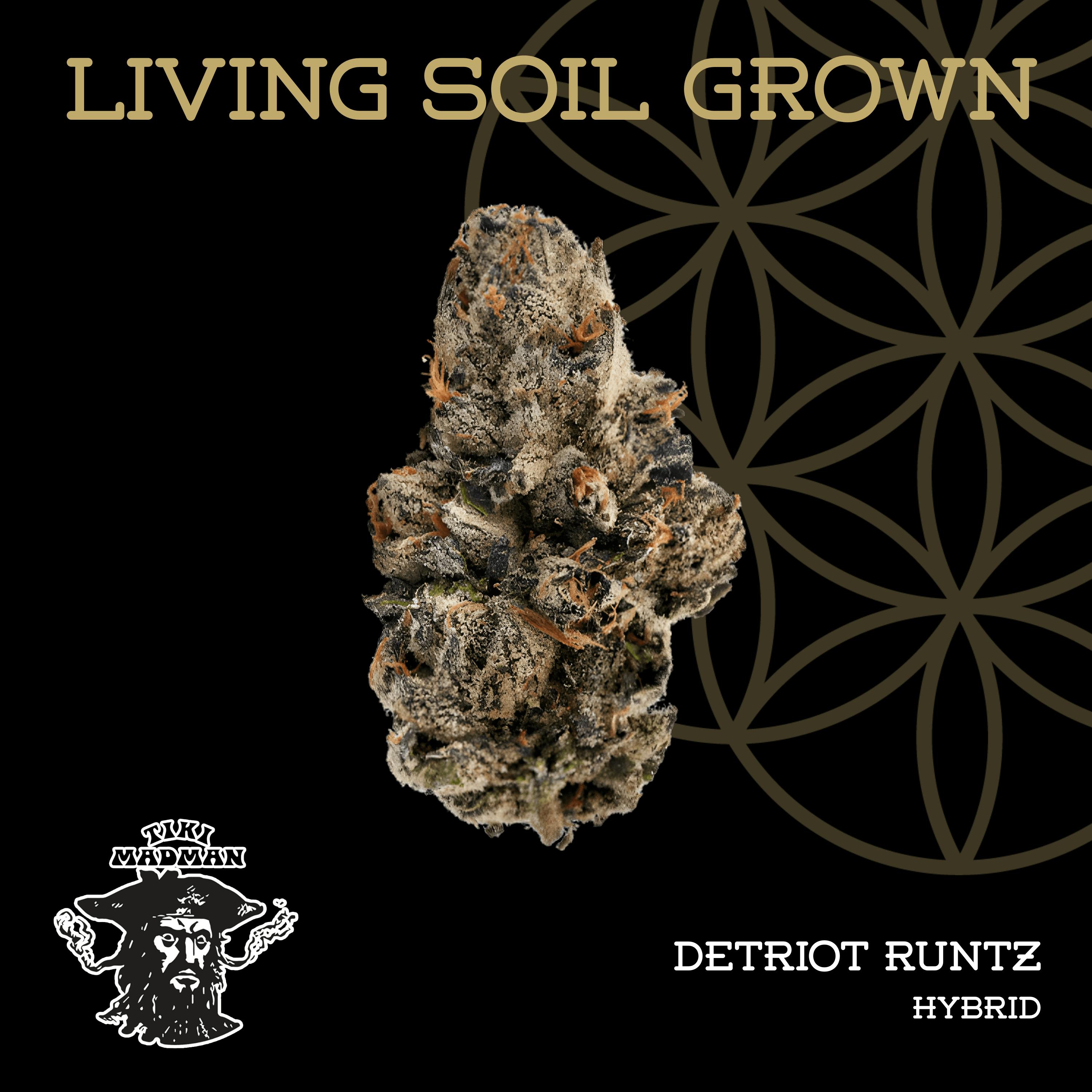 Detroit Runtz | Buds