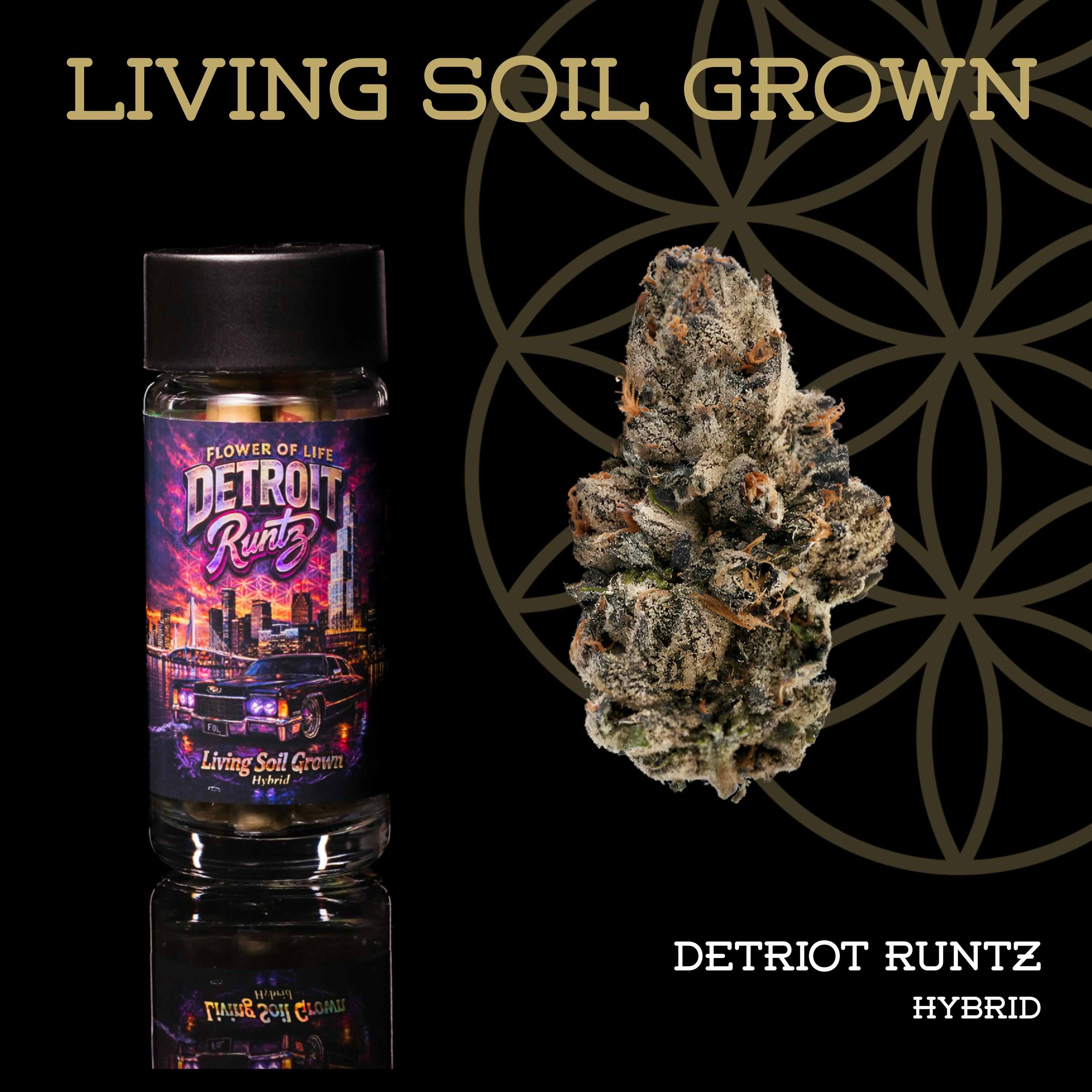 Detroit Runtz | Pre-Roll 5-Pack | 2.5g | Living Soil by Flower of Life