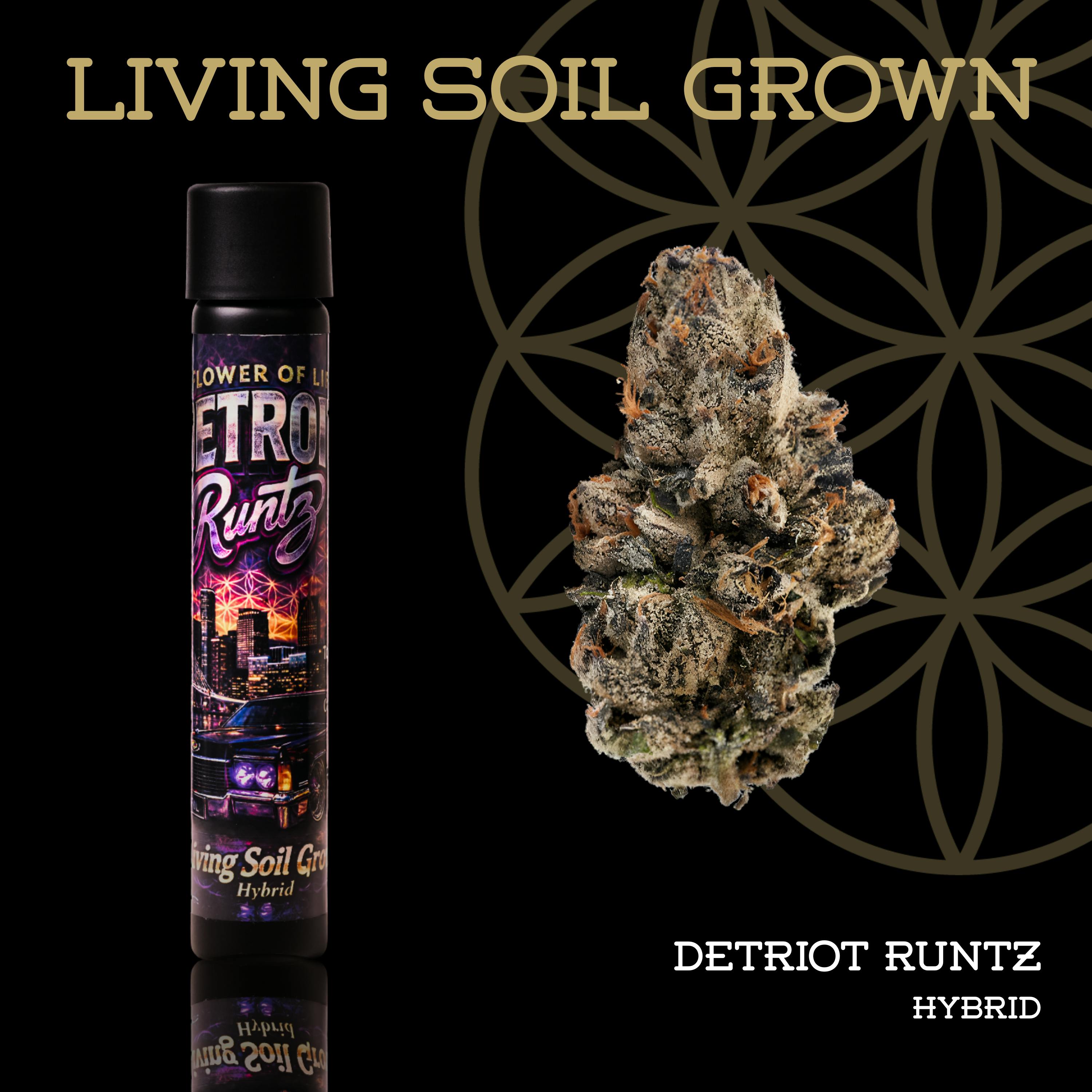 Detroit Runtz | Joint | 1g