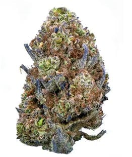 BowHouse | Southern Fuel | Flower | 14g by BowHouse