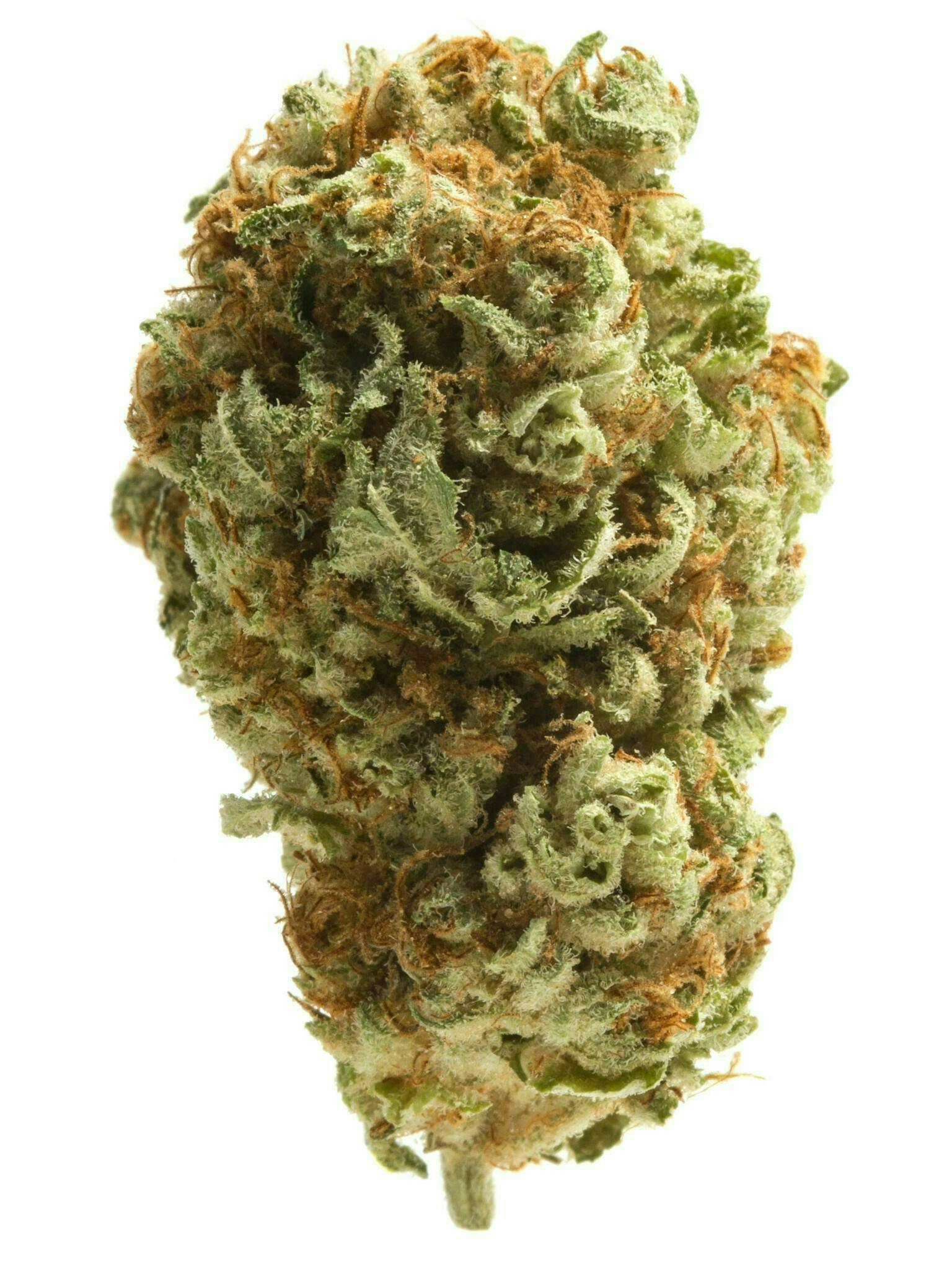 BowHouse | Runtz | Flower by BowHouse