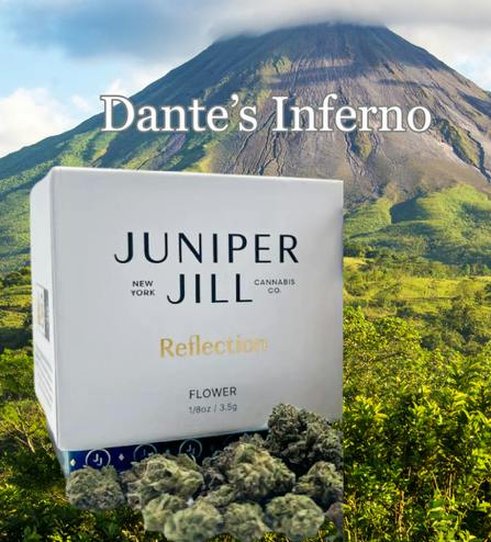 Dante's Inferno 3.5 gram flower by Juniper Jill Cannabis Co