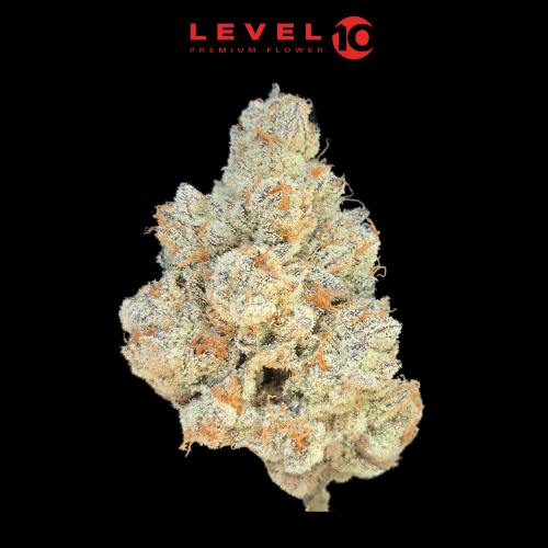 Level 10 - Kevin Garnett - Flower