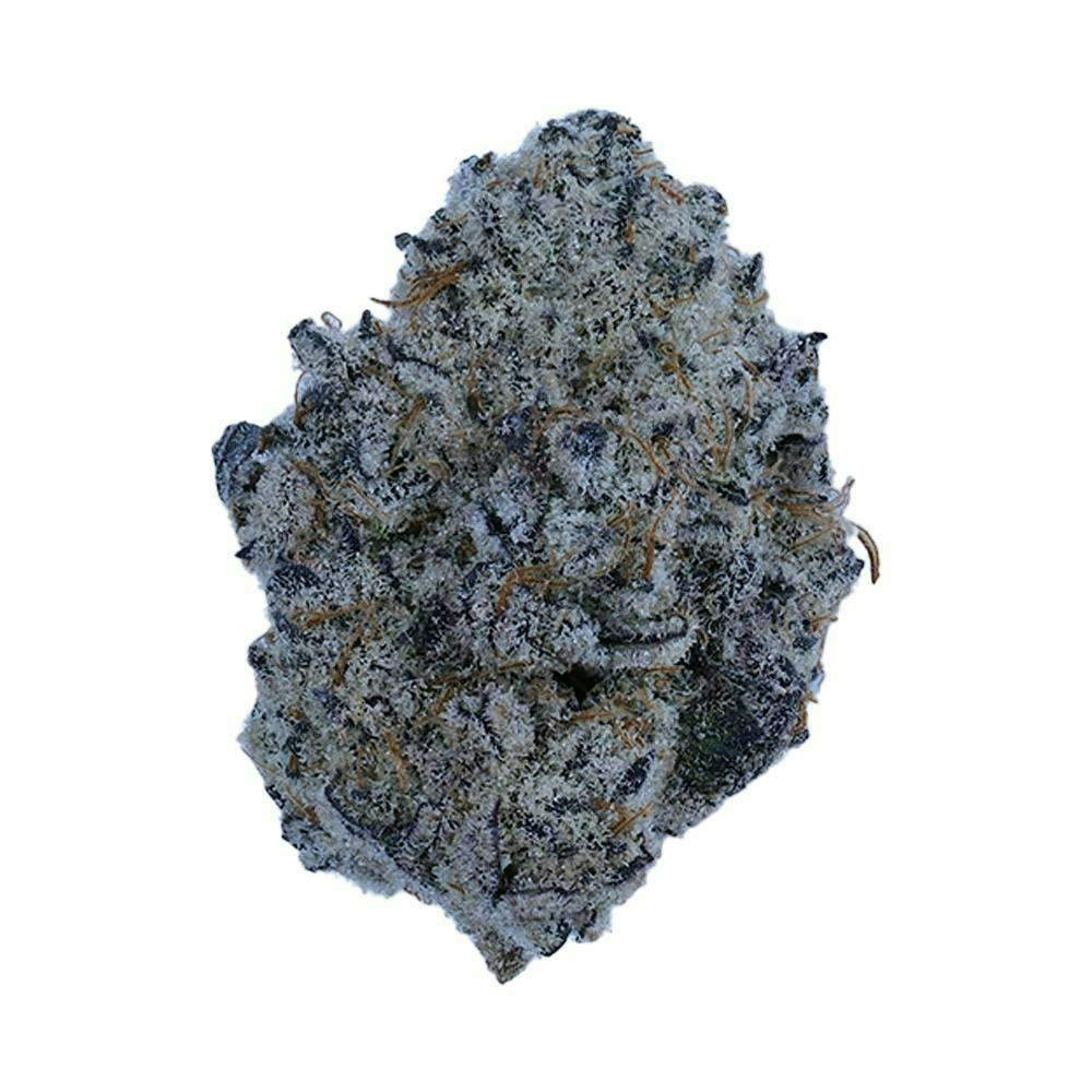 Frozen Bag | Big Buds | 3.5g by Rejuvenate Canna Co