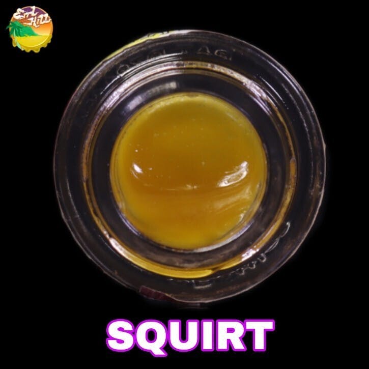 Errl Hill — Squirt