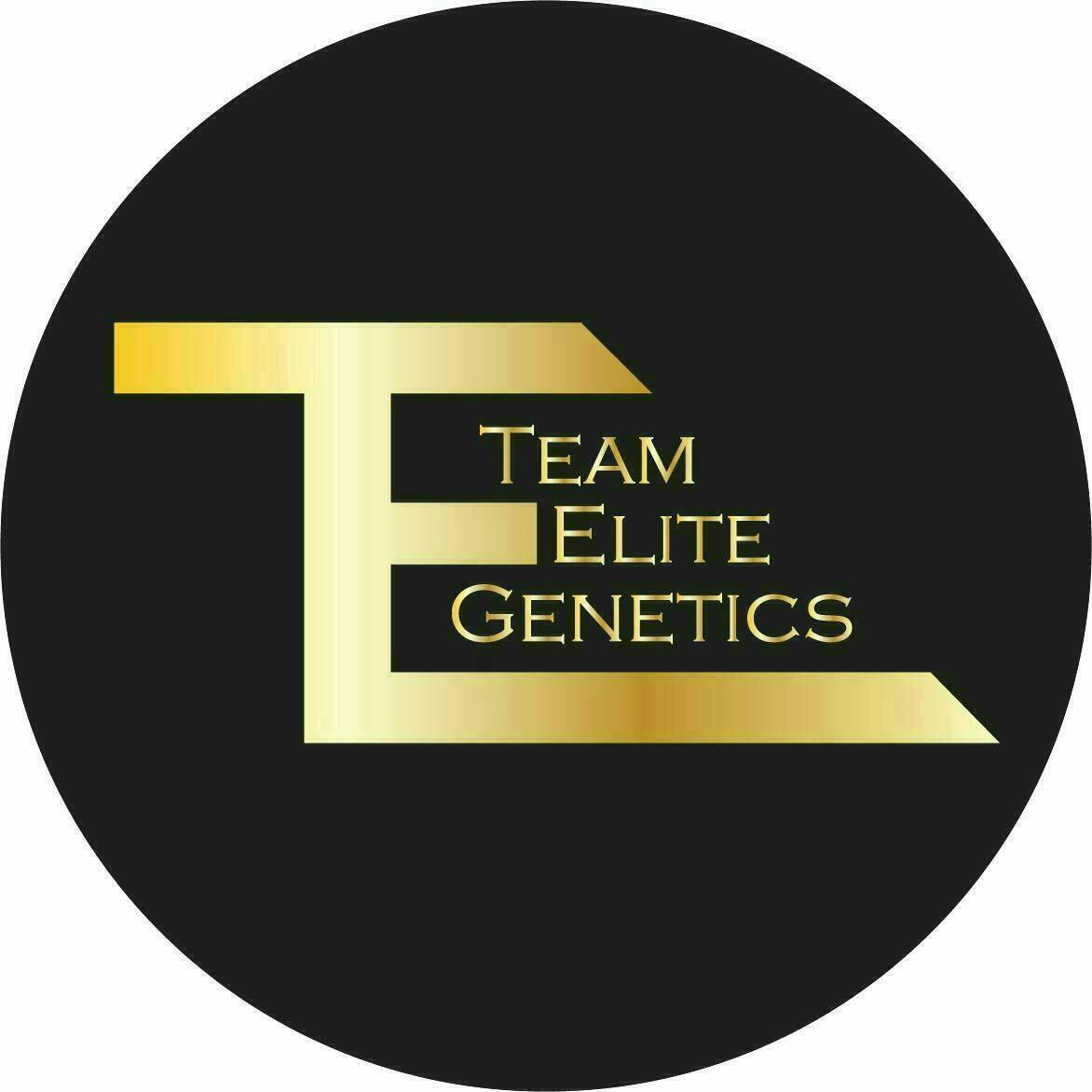Team Elite Genetics: Cheese Truck